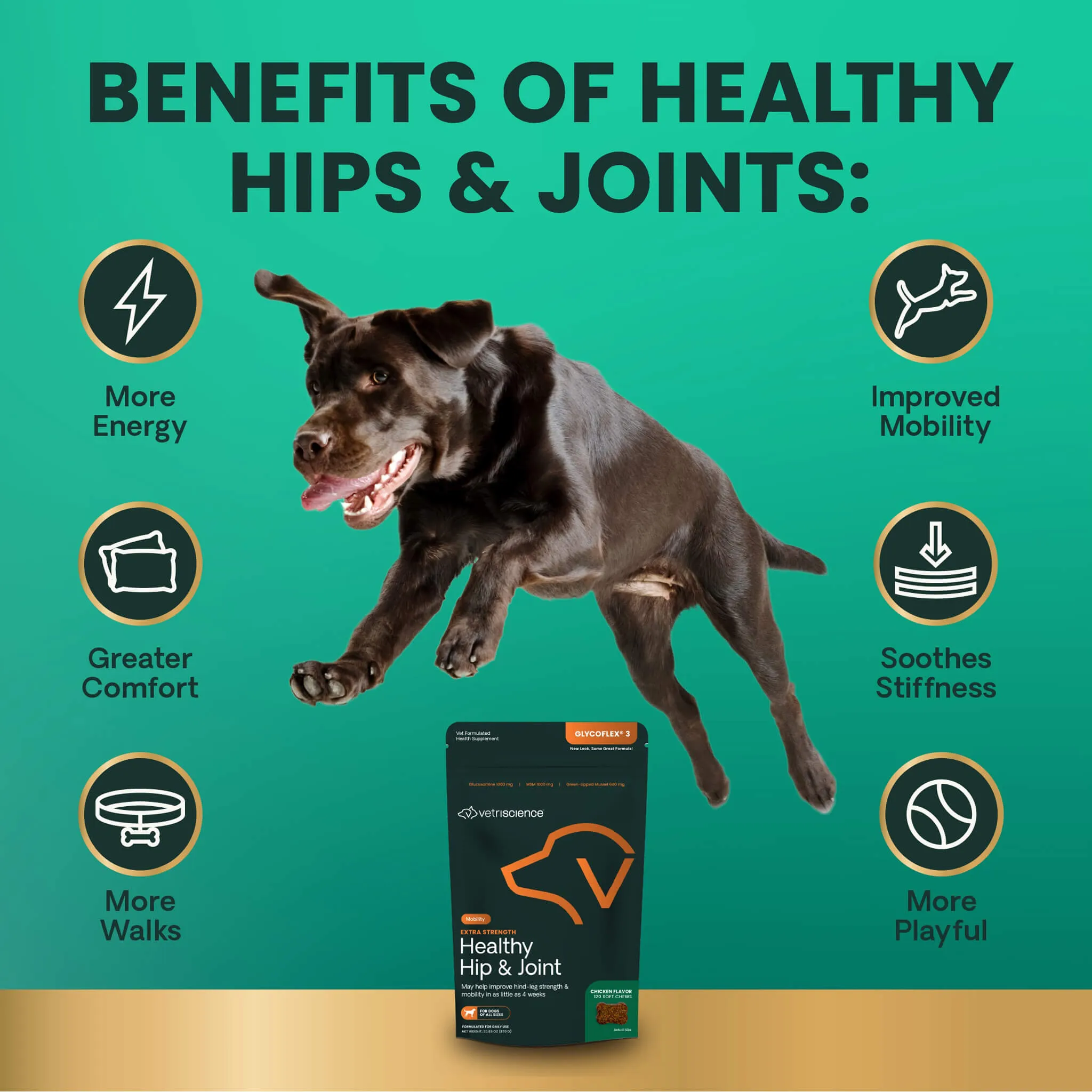 VetriScience Healthy Hip & Joint Supplements