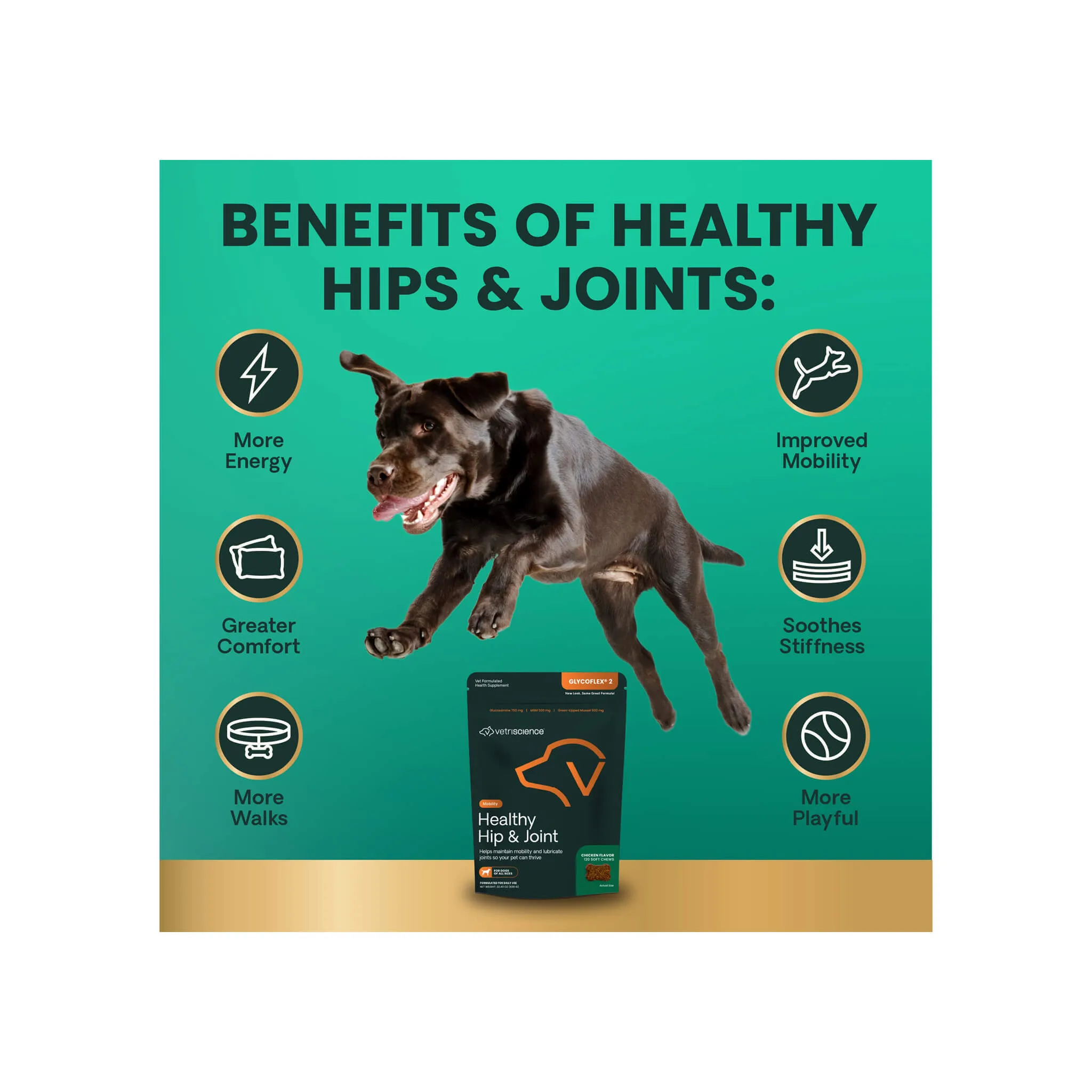 VetriScience Healthy Hip & Joint Supplements