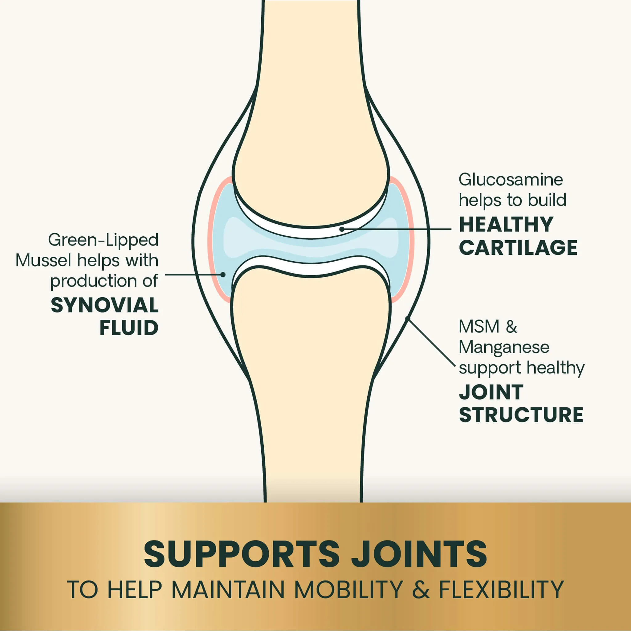 VetriScience Healthy Hip & Joint Supplements
