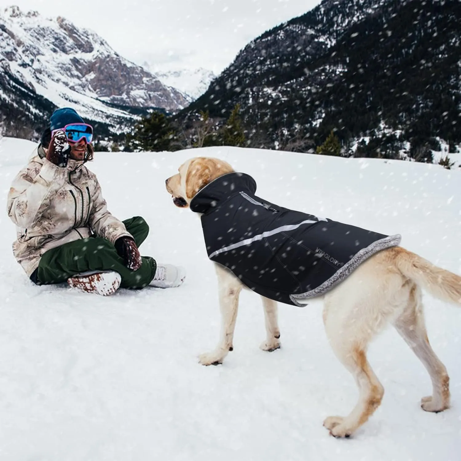 VIVAGLORY Warm Dog Fleece Vest Jacket with Two-Way Zipper Opening, Pet Jacket with Fleece Lining for Small Pets, Black XXS