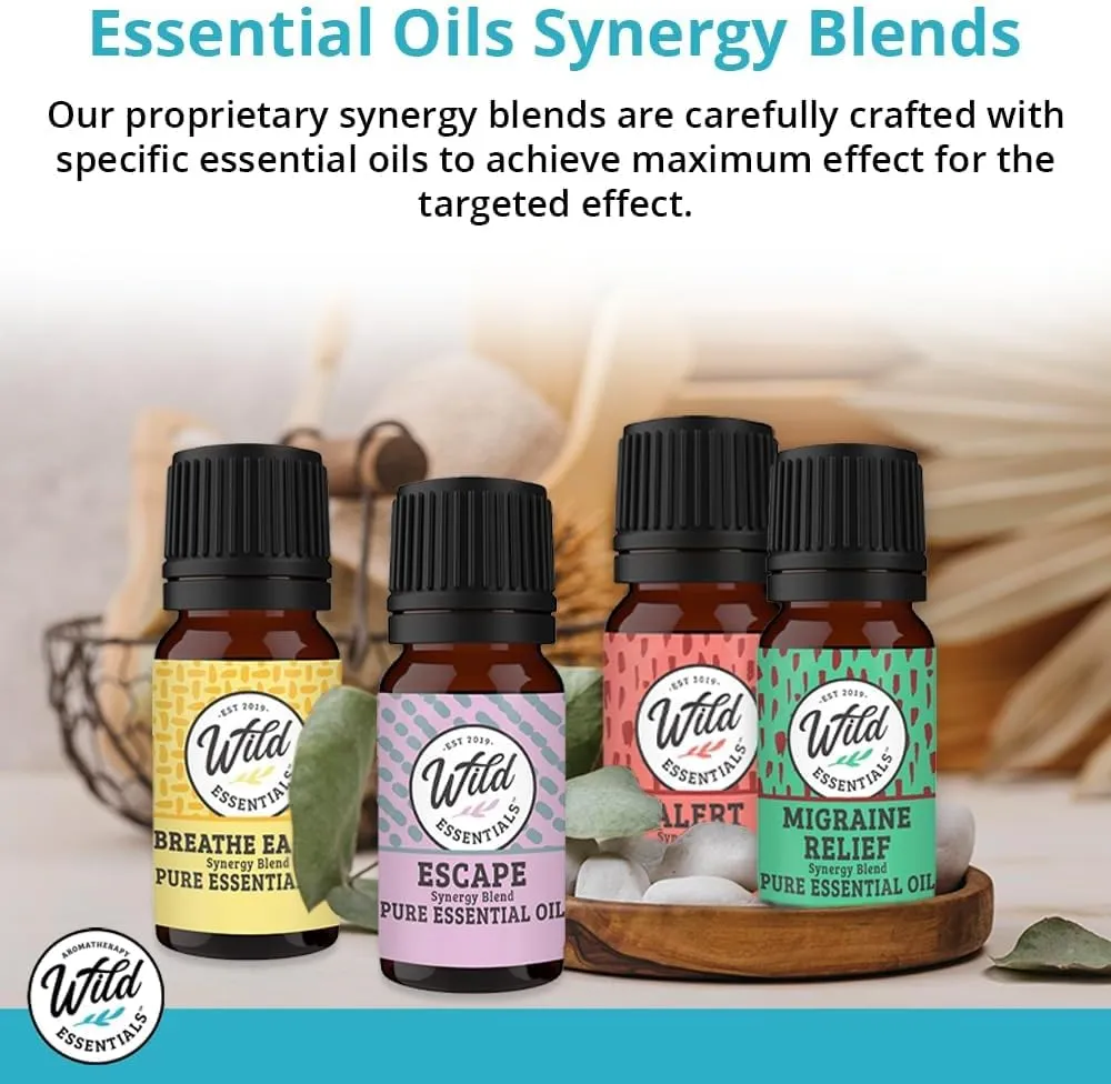 Wild Essentials Focus 100% Pure Essential Oil Synergy Blend 10ml, Therapeutic Grade Concentration Formula for Mental Clarity, Study, Work, Test, Interview, Attention Made in The USA