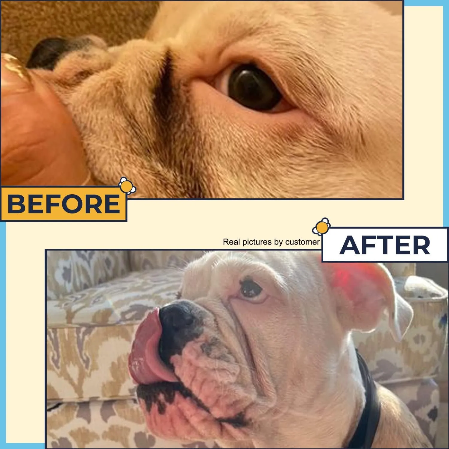 Wrinkle Wipes for French Bulldog, English Bulldog & Pug -100% Organic Extracts Dog Wrinkle Wipes to Soothe Wrinkles- Dog Face Wipes Cleaning Alcohol Free- Say Bye to Rash w/ Wrinkle Paste For Bulldogs